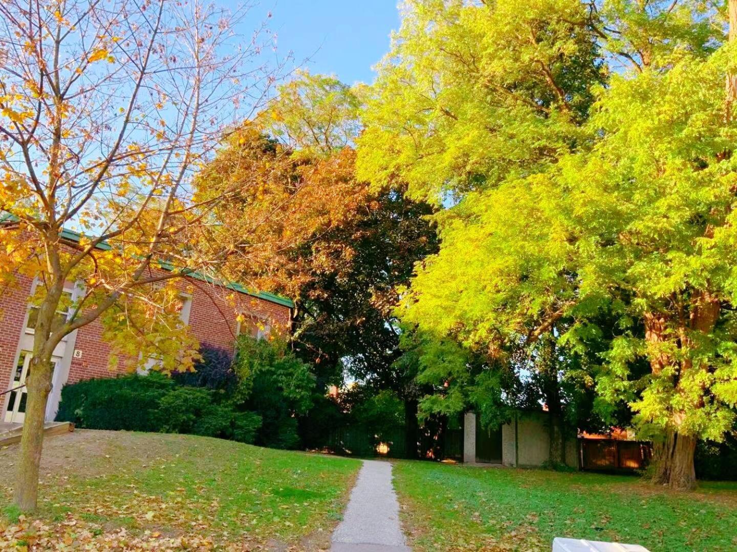 Leaside Garden Guesthouse 多伦多 外观 照片